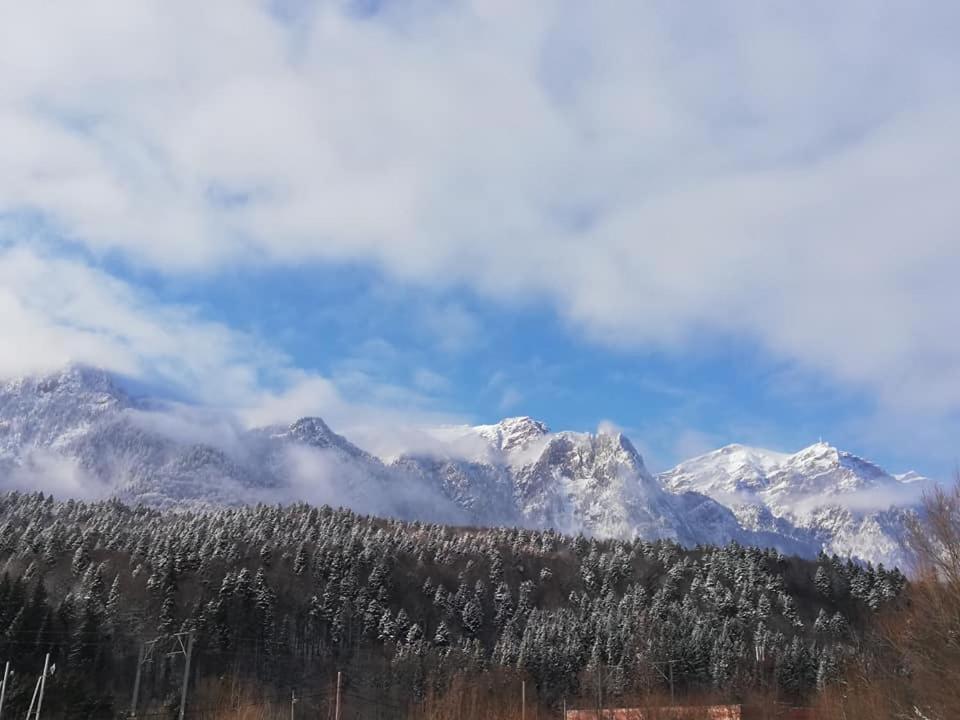 Villa Anne - Piatra Arsa Buşteni Eksteriør bilde