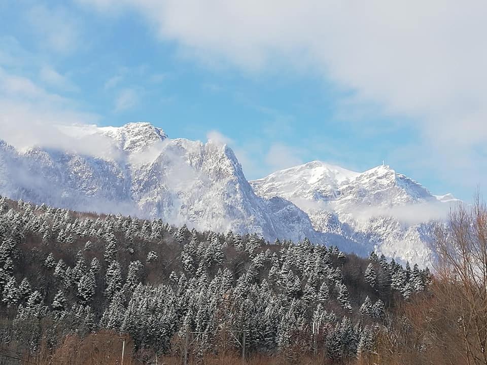 Villa Anne - Piatra Arsa Buşteni Eksteriør bilde